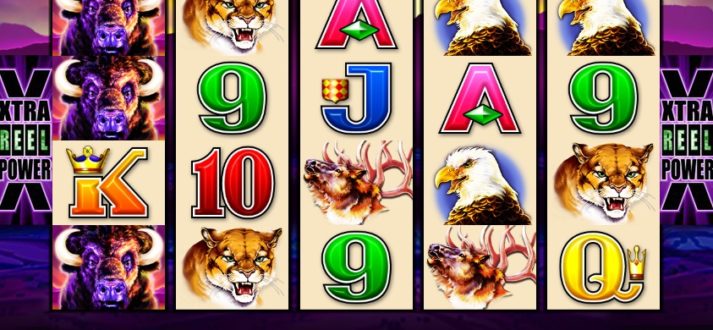 Choose best online slots and win more cash
